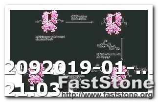 Keto Diet to Improve Egg Quality