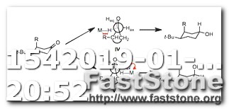 Keto Diet and Weight Loss Research