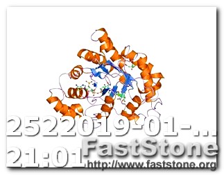 Keto Diet Effect on Metabolism