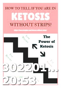 Keto Diet Book Free Download