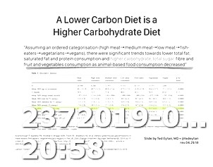 Keto Diet Vegetarian Lasagna