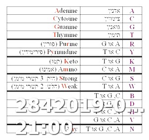 Weight Loss Calculator on Keto Diet