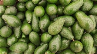 Keto Diet Meal Plan No Eggs