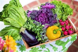 Weight Loss Pills on Keto Diet