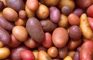 Keto Diet and Cancer Research