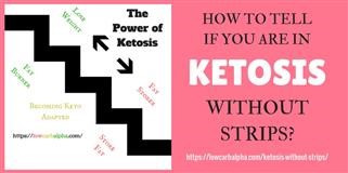Typical Keto Diet Daily Meal Plan